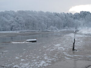 Winter, low tide